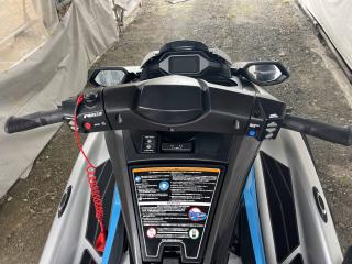 Yamaha FX Cruiser HO (F3V) Marine Jet
