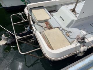 Yamaha Japanese boat 27 feet